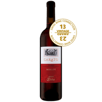 DELEA Rossi 75 cl / 2013 Carato Merlot Ticino DOC