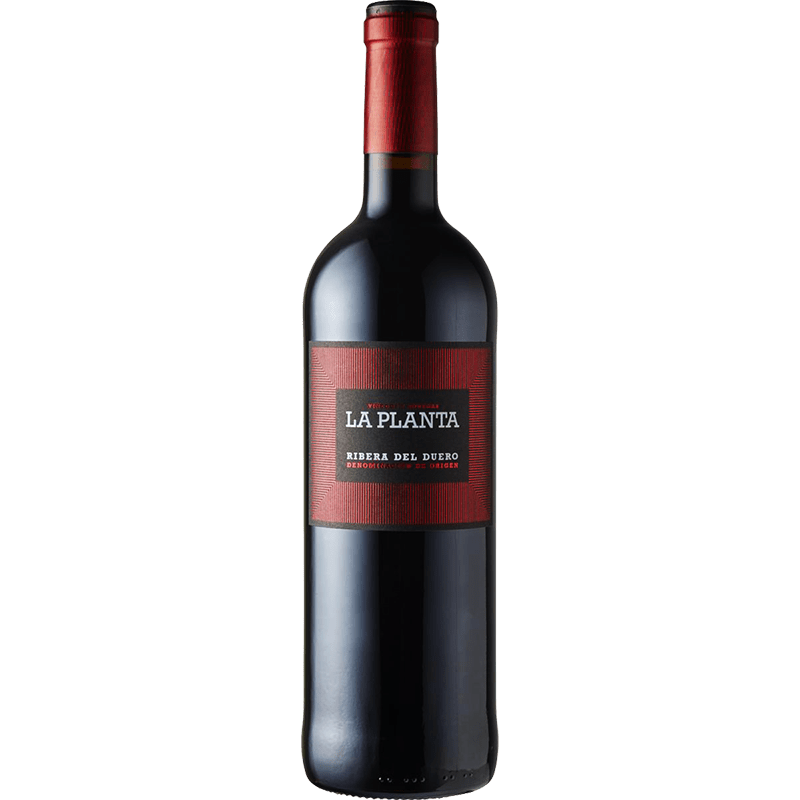 BODEGAS ARZUAGA NAVARRO Rossi 75 cl / 2018 La Planta Ribera del Duero DO