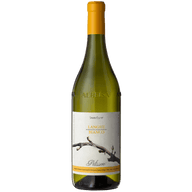 PELISSERO Bianchi 75 cl / 2021 Le Nature Bianco Langhe DOC Favorita