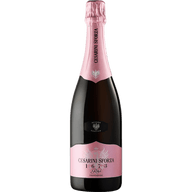 CESARINI SFORZA Spumanti 75 cl / 2015 Spumante 1673 Rosé Brut Trento DOC