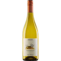 SANTA BARBARA Bianchi Sté Bianco Verdicchio Castelli di Jesi DOC