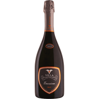 VILLA FRANCIACORTA Spumanti Villa Emozione Brut Franciacorta DOCG (4368870277231)